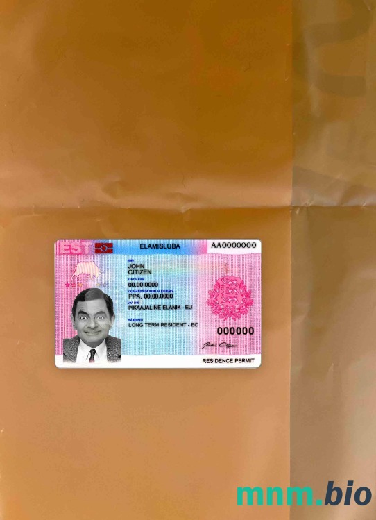 Estonia zezwolenie na pobyt – wygląd fotograficzny, wygląd skanu + realistyczny obraz, 2 w 1